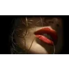 AGENCY STRIPDANCE SHOW