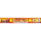 SEGUMAX INCENDIO & SEGURIDAD INDUSTRIAL