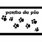 PONTE DE PIE