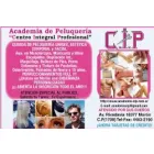 ACADEMIA DE PELUQUERIAS C I P