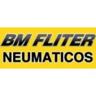 NEUMATICOS FLITER GOMERÍA Y VENTA DE NEUMÁTICOS