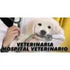 VETERINARIA - HOSPITAL VETERINARIO
