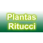 RITUCCI PLANTAS - DECORACION INTERIORES Y EXTERIORES