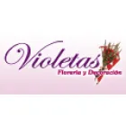 FLORERIA VIOLETAS