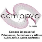 CAMARA EMPRESARIAL DE PELUQUEROS PEINADORES Y AFINES