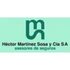 HECTOR MARTINEZ SOSA Y CIA SA