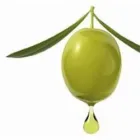 AGUSTO ZINGARETTI E HIJOS S.A -  YANCANELLO