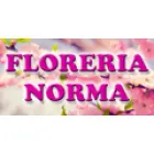 FLORERIA NORMA