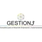 GESTIÓN 3