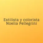 ESTILISTA Y COLORISTA NOELIA PELLEGRINI