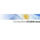 COLL ARECO CONSULTORIA
