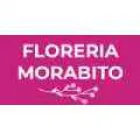 FLORERIA MORABITO