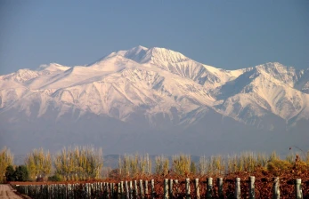 Mendoza